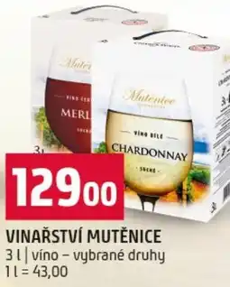 Terno Vinařství mutěnice nabídka