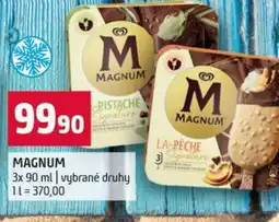 Terno Magnum nabídka