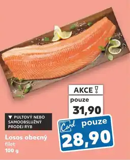 Kaufland Losos obecný nabídka