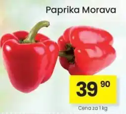 Kubík potraviny Paprika Morava nabídka