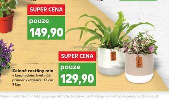 Kaufland Zelené rostliny mix nabídka