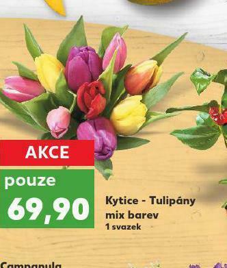 Kaufland Kytice - tulipány mix barev nabídka