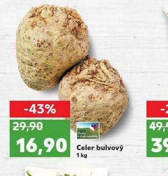 Kaufland Celer bulvový nabídka