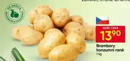 Hruška Brambory konzumni rané nabídka