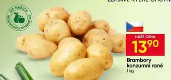 Hruška Brambory konzumni rané nabídka