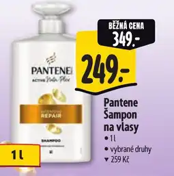 Albert Pantene Šampon na vlasy nabídka