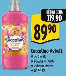 Albert Coccolino Aviváž nabídka