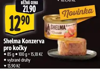 Albert Shelma Konzerva pro kočky nabídka