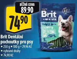 Albert Brit Dentální pochoutky pro psy nabídka