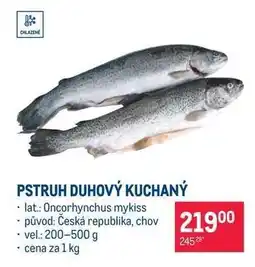 Makro Pstruh duhový kuchaný nabídka