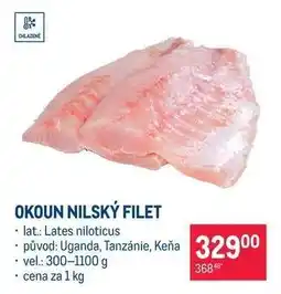 Makro Okoun nilský filet nabídka