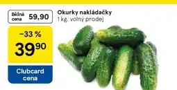 Tesco Okurky nakládačky nabídka