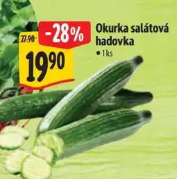 Albert Okurka salátová hadovka nabídka