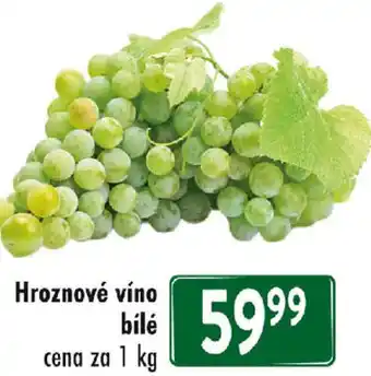 Qanto Hroznové víno bílé nabídka