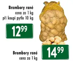 Qanto Brambory rané nabídka