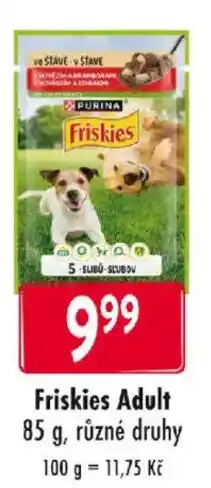 Qanto Friskies Adult nabídka