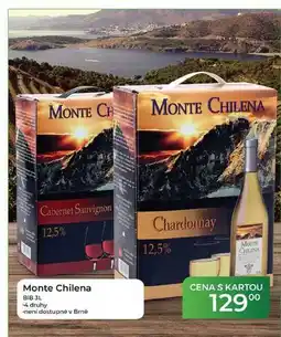 Tamda Foods Monte Chilena BIB nabídka