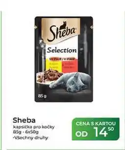 Tamda Foods Sheba kapsička pro kočky 85g nabídka