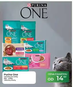 Tamda Foods Purina One kapsičky pro kočky 85g nabídka