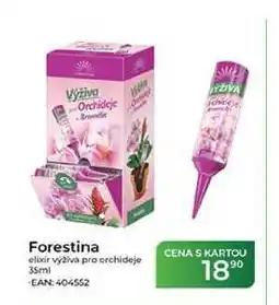 Tamda Foods Forestina elixir výživa pro orchideje nabídka