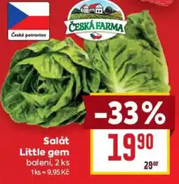 Billa Salát Little gem nabídka