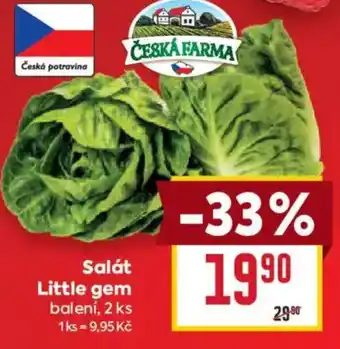 Billa Salát Little gem nabídka