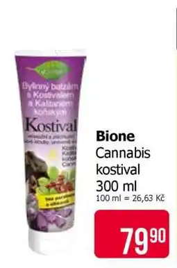 Teta Bione Cannabis Kostival nabídka