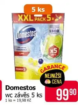Teta Domestos nabídka