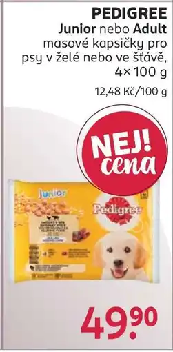 Rossmann PEDIGREE Junior nebo Adult nabídka