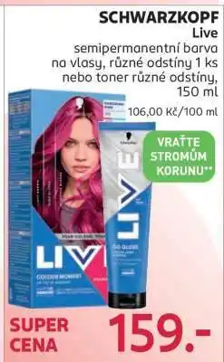 Rossmann Schwarzkopf Live nabídka