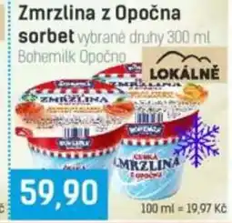Konzum Zmrzlina z Opočna Sorbet nabídka