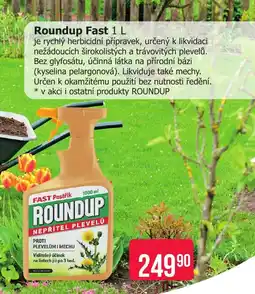 Teta Roundup Fast nabídka