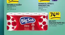 Flop BIG SOFT TOALETNÍ PAPÍR RED 10 ks nabídka