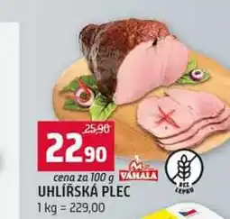 Terno UHLÍŘSKÁ PLEC nabídka
