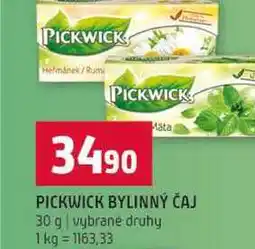 Terno PICKWICK BYLINNÝ ČAJ 30 g vybrané druhy nabídka