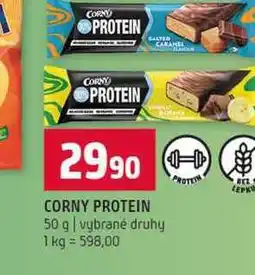 Terno CORNY PROTEIN 50 g vybrané druhy nabídka