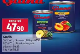 Terno GIANA 565/340 g Ananas plátky 820/470 g Broskve loupané nabídka