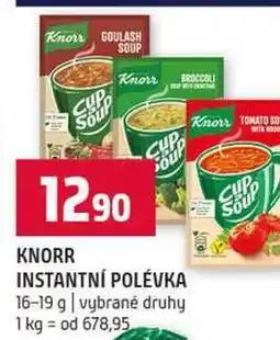 Terno KNORR INSTANTNÍ POLÉVKA 16-19 g vybrané druhy nabídka