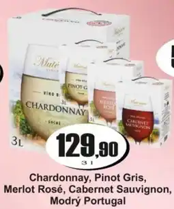 Adam Chardonnay, Pinot Gris, Merlot Rosé, Cabernet Sauvignon, Modrý Portugal nabídka