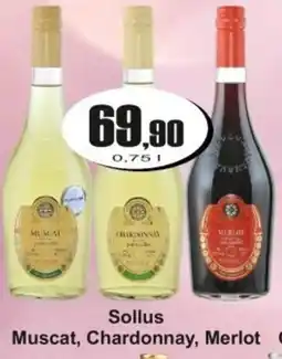 Adam Sollus Muscat, Chardonnay, Merlot nabídka