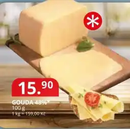 Potraviny CZ Gouda 48% nabídka