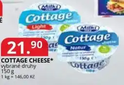 Potraviny CZ Cottage cheese nabídka