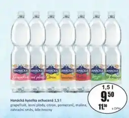 Adam Hanácká kyselka ochucená nabídka