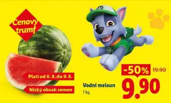 VODNÍ MELOUN