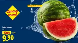 Lidl VODNÍ MELOUN nabídka