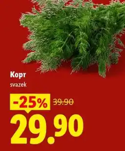 Lidl Kopr nabídka