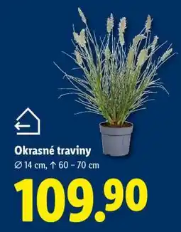 Lidl OKRASNÉ TRAVINY nabídka