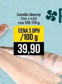 Jip Candát obecný filet s kůží cca nabídka