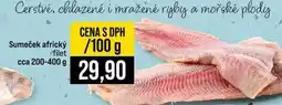 Jip Sumeček africký filet cca nabídka