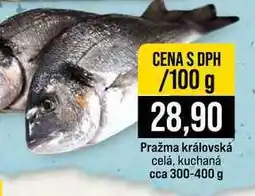 Jip Pražma královská celá, kuchaná cca nabídka